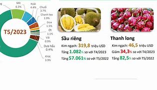 Hệ Thống Xuất Khẩu Sầu Riêng Sang Trung Quốc Mới Nhất Hiện Nay