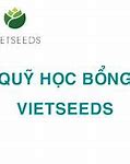 Học Bổng Vietseeds 2021 Là Gì Wikipedia Tiếng Việt Là Gì