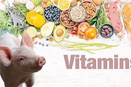 Vai Trò Vitamin Đối Với Cơ Thể